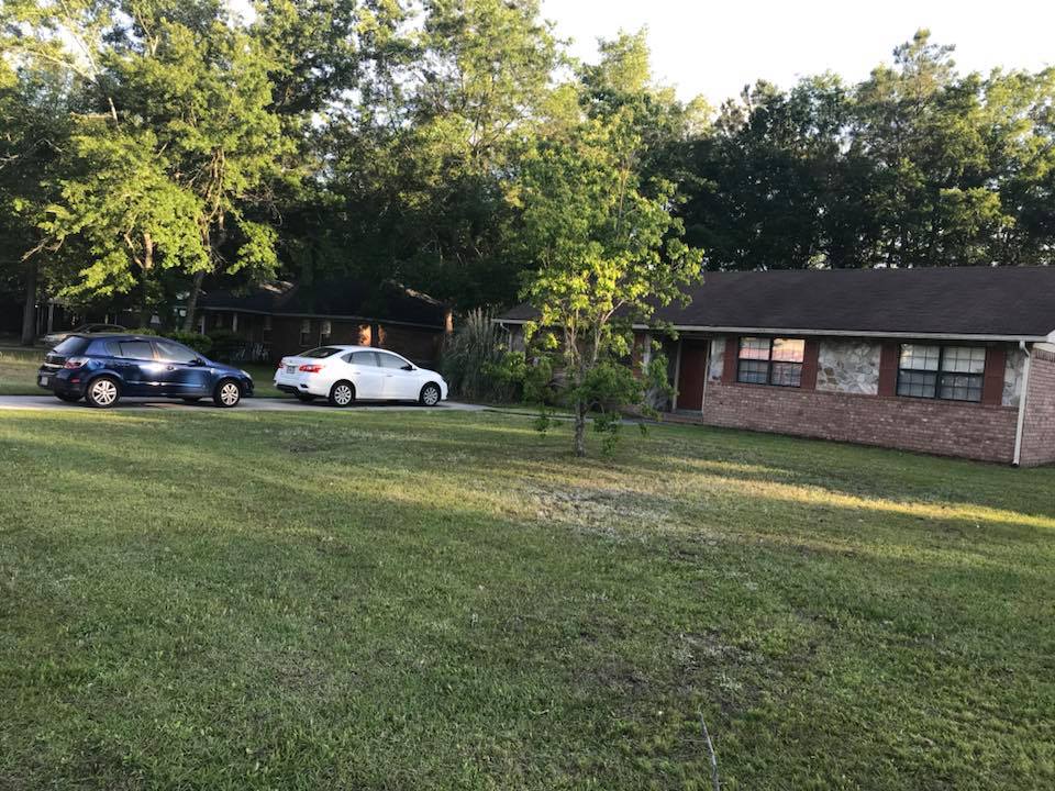 Lawn after mowing service